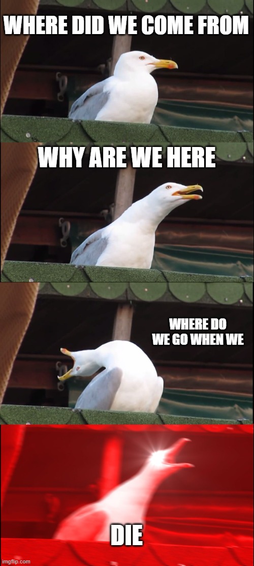 the spirit carries on | WHERE DID WE COME FROM; WHY ARE WE HERE; WHERE DO WE GO WHEN WE; DIE | image tagged in memes,inhaling seagull | made w/ Imgflip meme maker