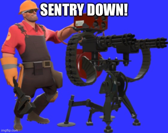 SENTRY DOWN! | made w/ Imgflip meme maker