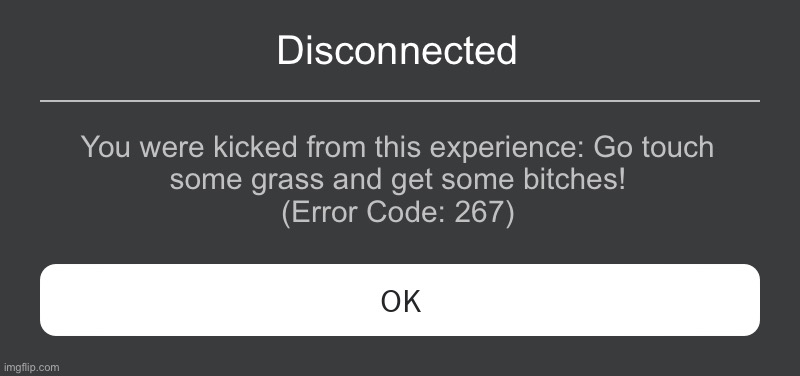Roblox error messages be like: | Disconnected; You were kicked from this experience: Go touch
some grass and get some bitches!
(Error Code: 267) | image tagged in roblox error message | made w/ Imgflip meme maker