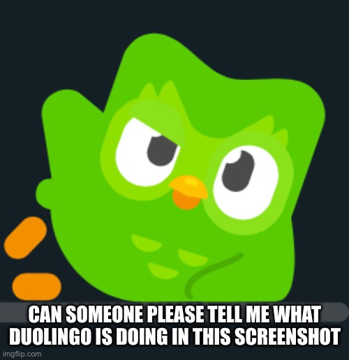 Im scared | CAN SOMEONE PLEASE TELL ME WHAT DUOLINGO IS DOING IN THIS SCREENSHOT | image tagged in i still have my family,dont worry,everythings fine | made w/ Imgflip meme maker