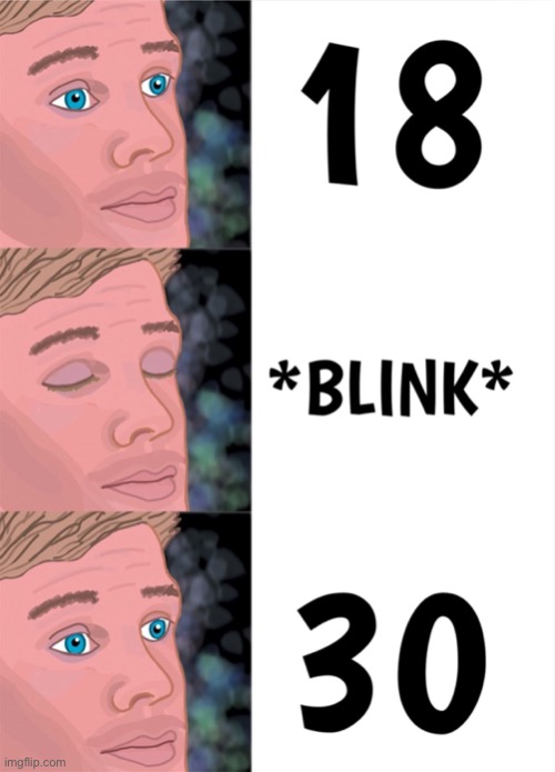 Blink and it is gone | image tagged in blink,blink of the eye,time flew by,fun | made w/ Imgflip meme maker
