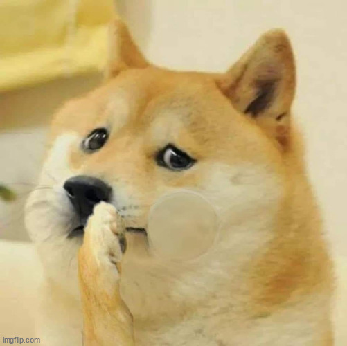 Disgusted Doge | image tagged in disgusted doge | made w/ Imgflip meme maker