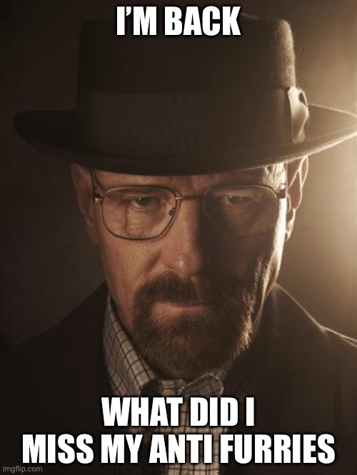 I’m back | I’M BACK; WHAT DID I MISS MY ANTI FURRIES | image tagged in walter white | made w/ Imgflip meme maker