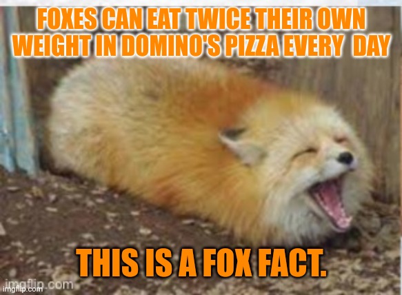 Important fox facts | FOXES CAN EAT TWICE THEIR OWN WEIGHT IN DOMINO'S PIZZA EVERY  DAY THIS IS A FOX FACT. | image tagged in dominos,pizza | made w/ Imgflip meme maker