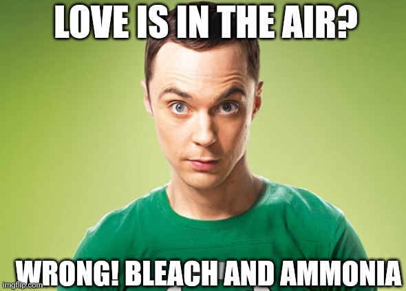 Gas mask required | LOVE IS IN THE AIR? WRONG! BLEACH AND AMMONIA | image tagged in sheldon cooper | made w/ Imgflip meme maker