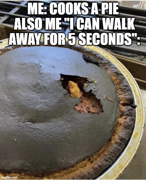 Burnt pie | ALSO ME "I CAN WALK AWAY FOR 5 SECONDS":; ME: COOKS A PIE | image tagged in burnt pie | made w/ Imgflip meme maker
