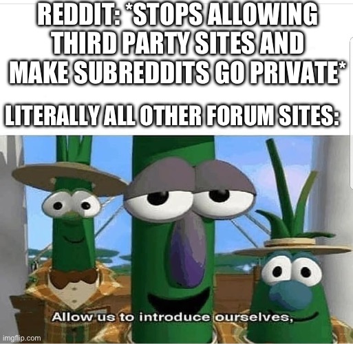 reddit ?? | REDDIT: *STOPS ALLOWING THIRD PARTY SITES AND MAKE SUBREDDITS GO PRIVATE*; LITERALLY ALL OTHER FORUM SITES: | image tagged in allow us to introduce ourselves | made w/ Imgflip meme maker