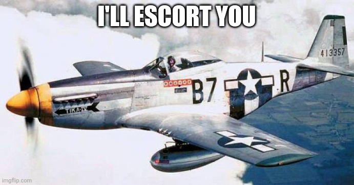 P-51 Mustang | I'LL ESCORT YOU | image tagged in p-51 mustang | made w/ Imgflip meme maker