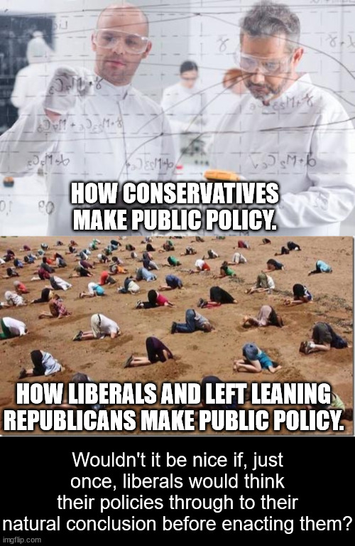 I guess the problem is asking liberals to think.  They don't think, they only feel and that is why the country is falling apart. | HOW CONSERVATIVES MAKE PUBLIC POLICY. HOW LIBERALS AND LEFT LEANING REPUBLICANS MAKE PUBLIC POLICY. Wouldn't it be nice if, just once, liberals would think their policies through to their natural conclusion before enacting them? | image tagged in liberal vs conservative,conservatives think,liberals feel,liberals hate thinkers | made w/ Imgflip meme maker