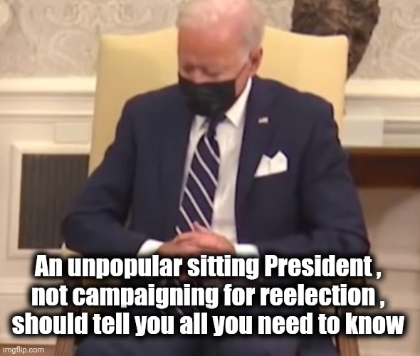 "What , me worry ?"-Alfred E. Neumann | An unpopular sitting President , 
not campaigning for reelection , 
should tell you all you need to know | image tagged in sleeping biden,incompetence,pedophile,bad joke,fishing for upvotes,well yes but actually no | made w/ Imgflip meme maker