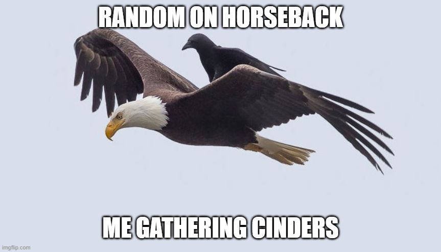 Crow Bum Ride | RANDOM ON HORSEBACK; ME GATHERING CINDERS | image tagged in crow bum ride | made w/ Imgflip meme maker