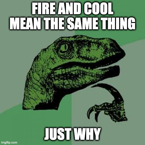 Shower thoughts | FIRE AND COOL MEAN THE SAME THING; JUST WHY | image tagged in memes,philosoraptor | made w/ Imgflip meme maker