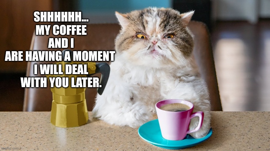 Coffee Time... shh-shh | SHHHHHH... MY COFFEE AND I
ARE HAVING A MOMENT 
I WILL DEAL WITH YOU LATER. | image tagged in coffee cat,coffee addict | made w/ Imgflip meme maker