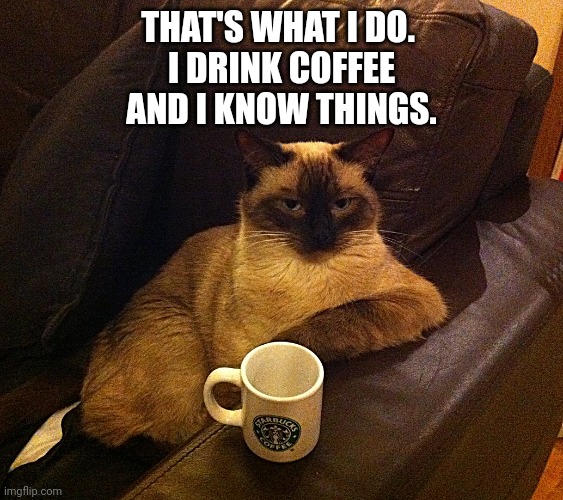 I Know Things | THAT'S WHAT I DO. 
I DRINK COFFEE
AND I KNOW THINGS. | image tagged in coffee cat,coffee addict,knowledge is power | made w/ Imgflip meme maker