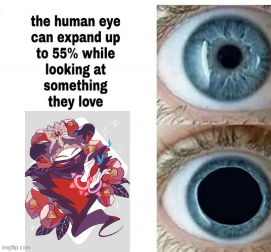I LOVE Magolor | image tagged in human eye | made w/ Imgflip meme maker