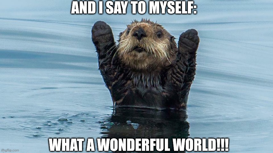 Happy otter | AND I SAY TO MYSELF:; WHAT A WONDERFUL WORLD!!! | image tagged in happy otter | made w/ Imgflip meme maker