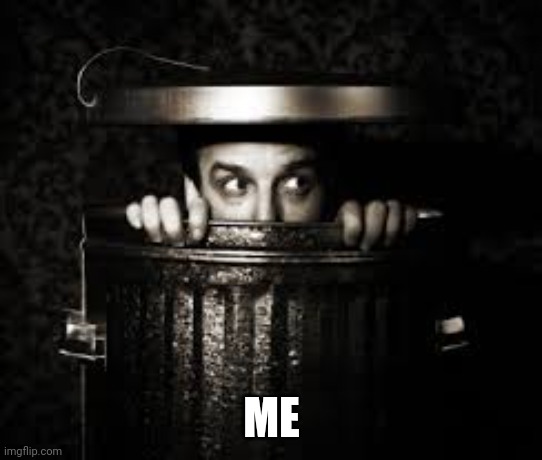 Man in Trash Can | ME | image tagged in man in trash can | made w/ Imgflip meme maker