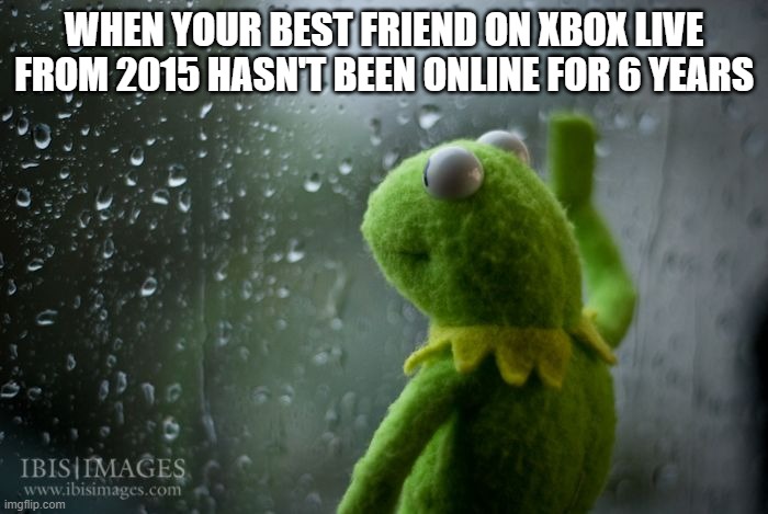 kermit window | WHEN YOUR BEST FRIEND ON XBOX LIVE FROM 2015 HASN'T BEEN ONLINE FOR 6 YEARS | image tagged in kermit window | made w/ Imgflip meme maker