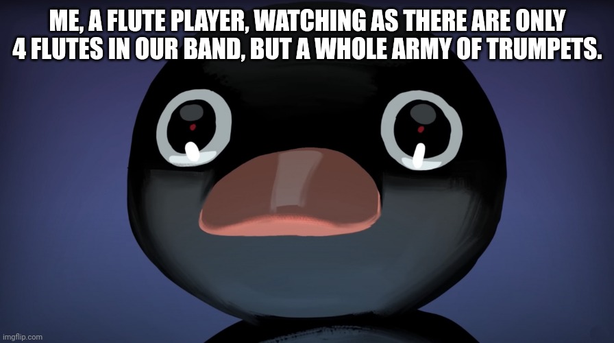 Terrified Noot Noot | ME, A FLUTE PLAYER, WATCHING AS THERE ARE ONLY 4 FLUTES IN OUR BAND, BUT A WHOLE ARMY OF TRUMPETS. | image tagged in terrified noot noot | made w/ Imgflip meme maker
