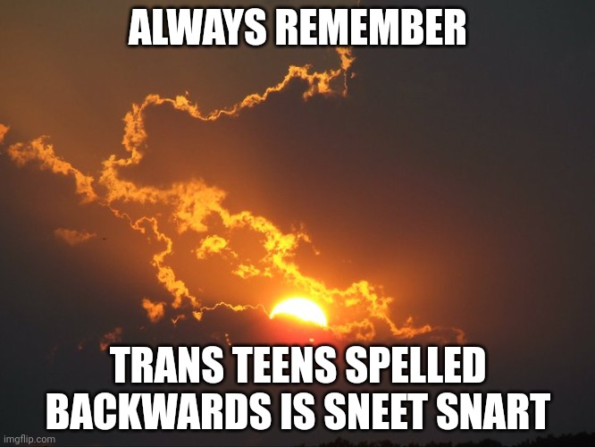 I crack up every time | ALWAYS REMEMBER; TRANS TEENS SPELLED BACKWARDS IS SNEET SNART | image tagged in sunshine in the rain | made w/ Imgflip meme maker