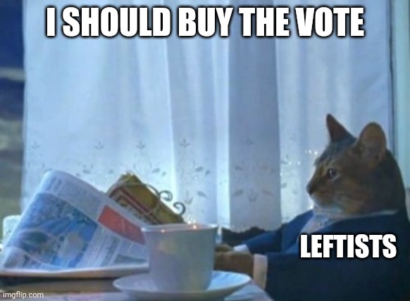 I Should Buy A Boat Cat Meme | I SHOULD BUY THE VOTE; LEFTISTS | image tagged in memes,i should buy a boat cat | made w/ Imgflip meme maker