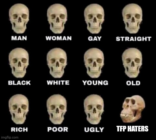 man woman gay straight skull | TFP HATERS | image tagged in tfp,transformers prime,tfp haters should be outcast from society,transformers,man woman gay straight skull,common sense | made w/ Imgflip meme maker