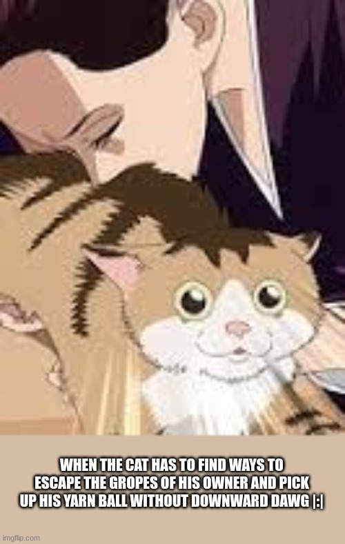 How will he escape? | WHEN THE CAT HAS TO FIND WAYS TO ESCAPE THE GROPES OF HIS OWNER AND PICK UP HIS YARN BALL WITHOUT DOWNWARD DAWG |:| | image tagged in anime,househusband,cats,funny memes,memes,netflix | made w/ Imgflip meme maker