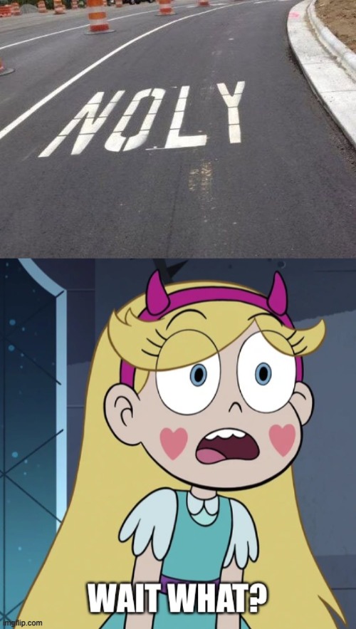 Noly?!?! | image tagged in star butterfly wait what,star vs the forces of evil,you had one job,memes | made w/ Imgflip meme maker