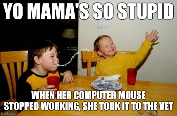 Yo Mamas So Fat Meme | YO MAMA'S SO STUPID; WHEN HER COMPUTER MOUSE STOPPED WORKING, SHE TOOK IT TO THE VET | image tagged in memes,yo mamas so fat,funny,computer | made w/ Imgflip meme maker