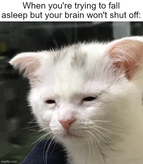 Why am I suddenly thinking about my 6th-grade science project? | When you're trying to fall asleep but your brain won't shut off: | image tagged in i'm awake but at what cost,memes,funny,relatable memes,so true memes,sleep | made w/ Imgflip meme maker