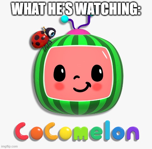 WHAT HE'S WATCHING: | image tagged in cocomelon logo | made w/ Imgflip meme maker