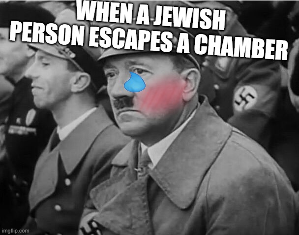 sad hitler | WHEN A JEWISH PERSON ESCAPES A CHAMBER | image tagged in sad hitler | made w/ Imgflip meme maker