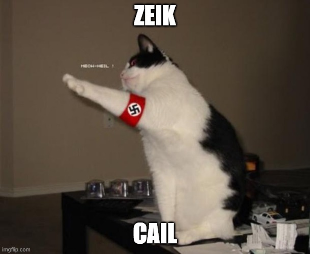 Nazi salute cat | ZEIK; CAIL | image tagged in nazi salute cat | made w/ Imgflip meme maker