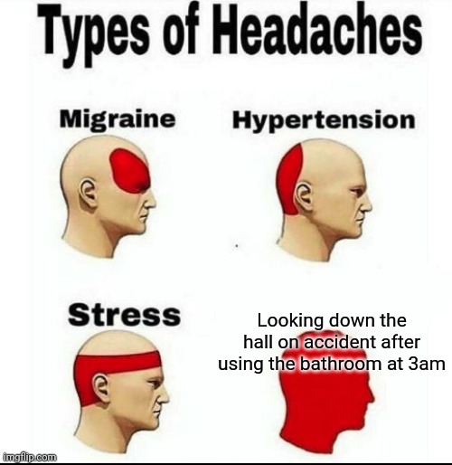 I hate this | Looking down the hall on accident after using the bathroom at 3am | image tagged in types of headaches meme,horror,demons | made w/ Imgflip meme maker