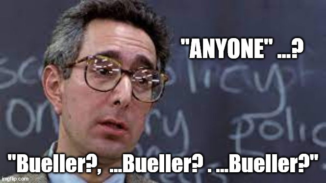 Anyone? | "ANYONE" ...? "Bueller?,  ...Bueller? . ...Bueller?" | image tagged in ferris bueller ben stein | made w/ Imgflip meme maker