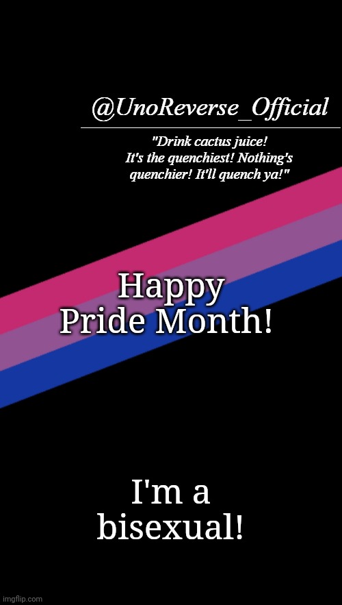 Happy Pride! | Happy Pride Month! I'm a bisexual! | image tagged in happy pride month boyyyyyyyyyyyyyyyyy | made w/ Imgflip meme maker