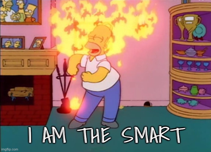 I am so smart smrt | I AM THE SMART | image tagged in i am so smart smrt | made w/ Imgflip meme maker