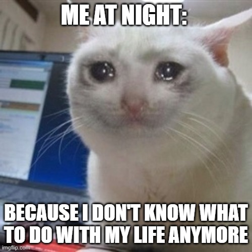 relatable thing... | ME AT NIGHT:; BECAUSE I DON'T KNOW WHAT TO DO WITH MY LIFE ANYMORE | image tagged in crying cat,funny,cats,cat,sad,cry | made w/ Imgflip meme maker