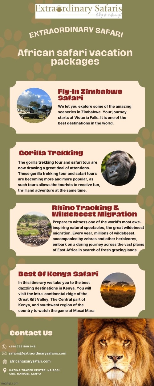 African safari vacation packages | image tagged in safari vacation,african safari vacation,safari vacation packages | made w/ Imgflip meme maker