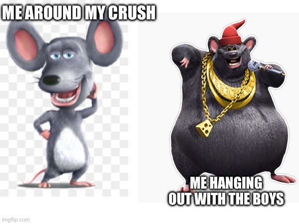 Epic Gamer Cool Boy Moment | ME AROUND MY CRUSH; ME HANGING OUT WITH THE BOYS | image tagged in memes | made w/ Imgflip meme maker