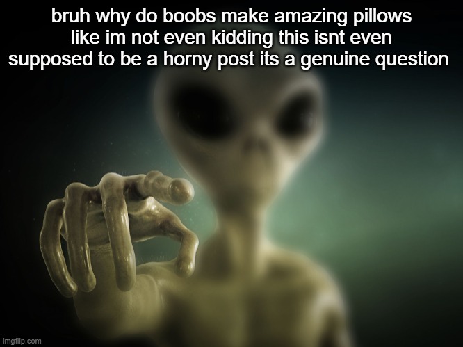 you | bruh why do boobs make amazing pillows like im not even kidding this isnt even supposed to be a horny post its a genuine question | image tagged in you | made w/ Imgflip meme maker