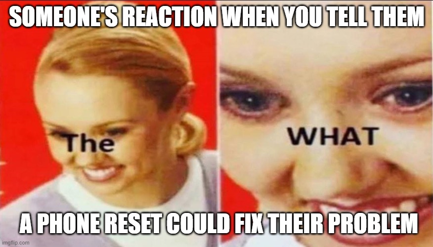 Random meme.. | SOMEONE'S REACTION WHEN YOU TELL THEM; A PHONE RESET COULD FIX THEIR PROBLEM | image tagged in random,vibes,random vibes | made w/ Imgflip meme maker