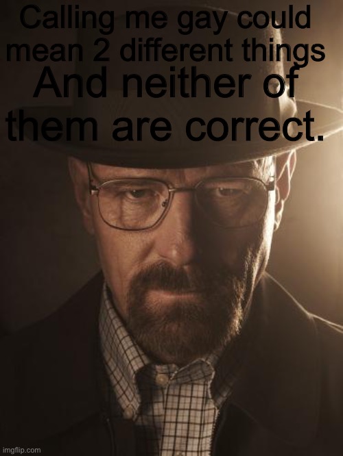 Walter White | Calling me gay could mean 2 different things; And neither of them are correct. | image tagged in walter white | made w/ Imgflip meme maker