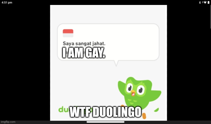 Duolingo is gay? | I AM GAY. WTF DUOLINGO | image tagged in duolingo,funny,why | made w/ Imgflip meme maker