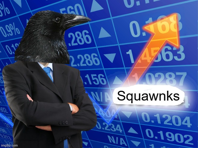 Squawnks | Squawnks | image tagged in empty stonks | made w/ Imgflip meme maker