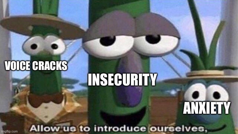 VeggieTales 'Allow us to introduce ourselfs' | ANXIETY INSECURITY VOICE CRACKS | image tagged in veggietales 'allow us to introduce ourselfs' | made w/ Imgflip meme maker