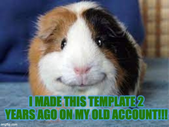 OMG | I MADE THIS TEMPLATE 2 YEARS AGO ON MY OLD ACCOUNT!!! | image tagged in grinny pig | made w/ Imgflip meme maker