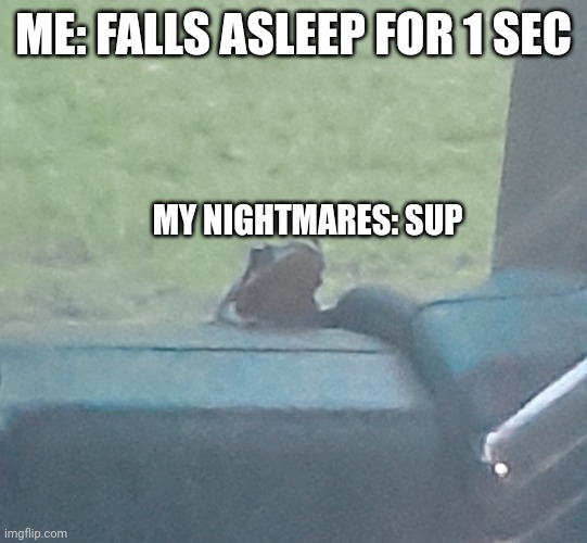 Had a bad nightmare today lol (new meme i made :> ) | ME: FALLS ASLEEP FOR 1 SEC; MY NIGHTMARES: SUP | image tagged in hello frog,frog,funny meme,nightmare,sleepy | made w/ Imgflip meme maker