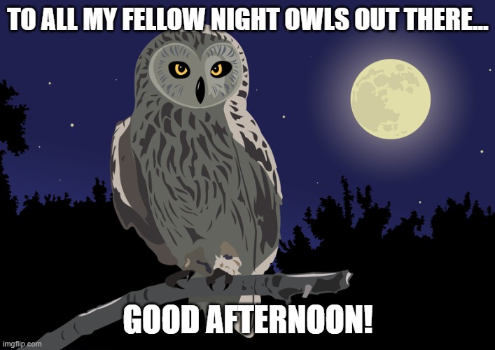 At the end of the day, we come out and play | TO ALL MY FELLOW NIGHT OWLS OUT THERE... GOOD AFTERNOON! | image tagged in night owl | made w/ Imgflip meme maker