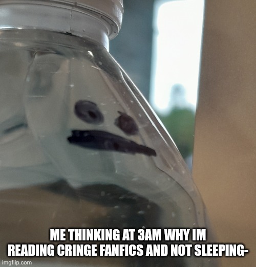 What is my life :,D | ME THINKING AT 3AM WHY IM READING CRINGE FANFICS AND NOT SLEEPING- | image tagged in water bottle- thinking abt life | made w/ Imgflip meme maker